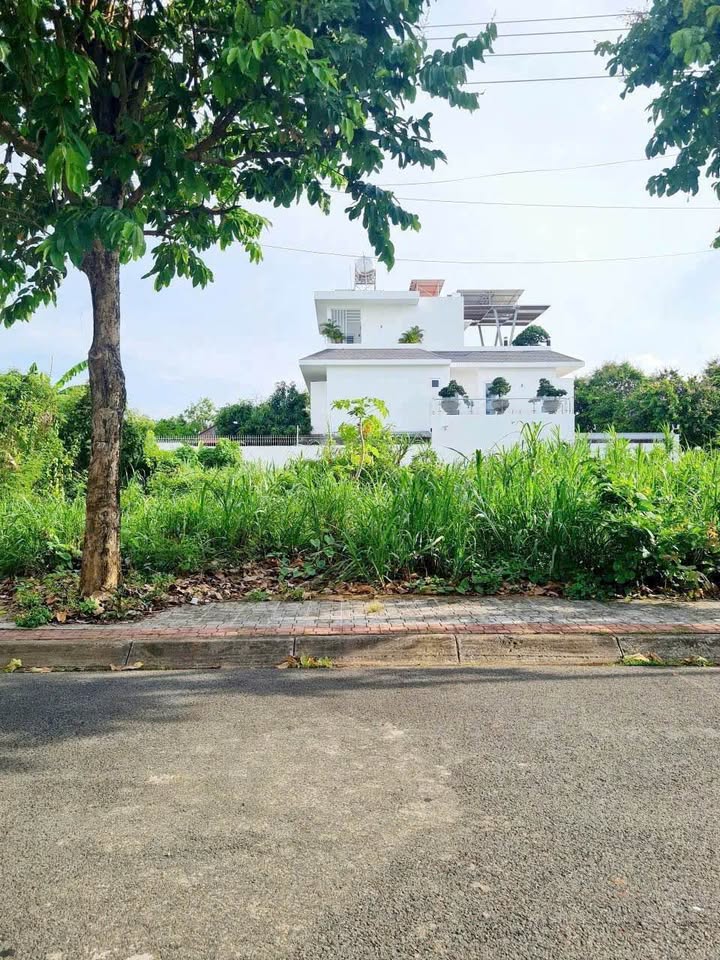 Đất nền KDC Chợ Tân Thành, Bến Tre 111,9m² - Mặt tiền đường số 7, thuận tiện kinh doanh!