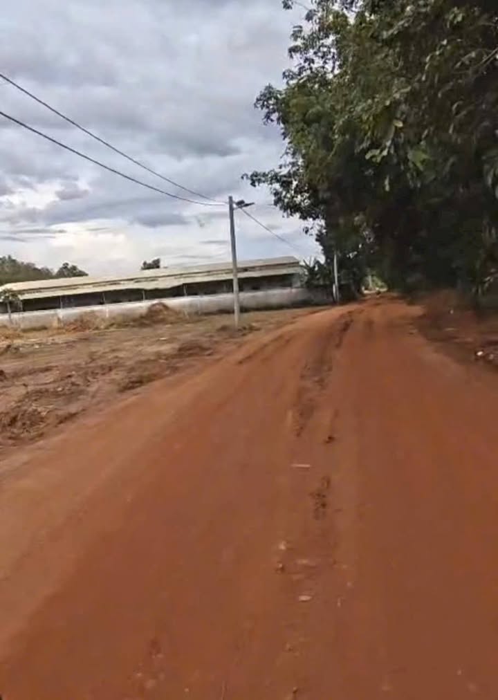 Đất đầu tư An Điền 115m² giá chỉ 9xx triệu - Pháp lý rõ ràng, xây dựng tự do!