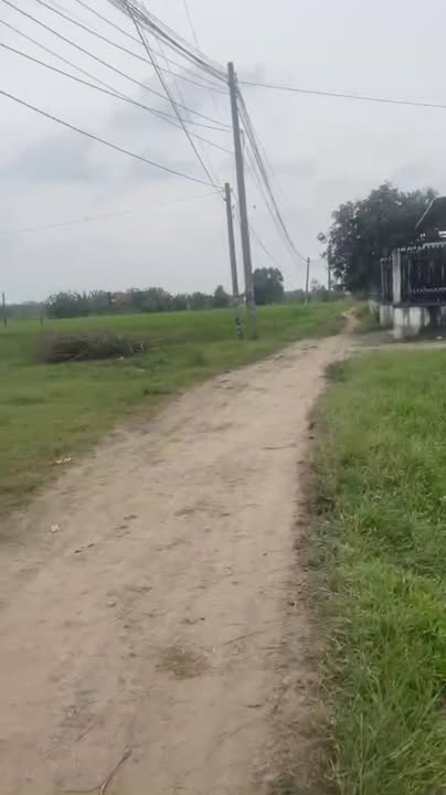 Đất vườn 1675m² xã Mỹ Hạnh Bắc, giá 2.6 tỷ - Tiềm năng sinh lợi cao!