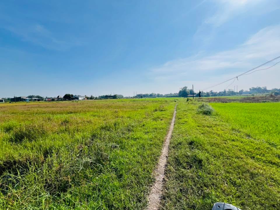 Đất lúa Hòa Khánh Đông 4190m² giá 1.8 tỷ - Mặt tiền 48m, cơ hội đầu tư tuyệt vời!