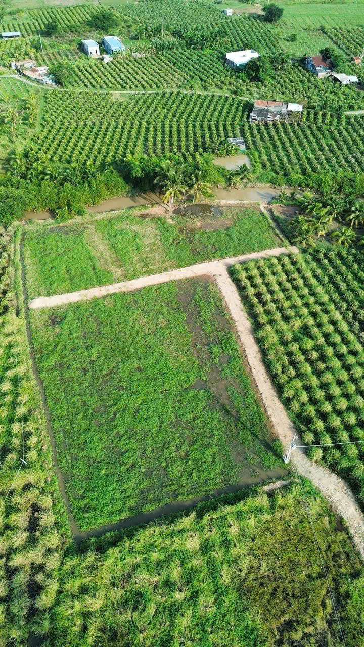 Đất nền Bình An 1155m² giá chỉ 450 triệu - Sổ hồng chính chủ, bớt lộc!