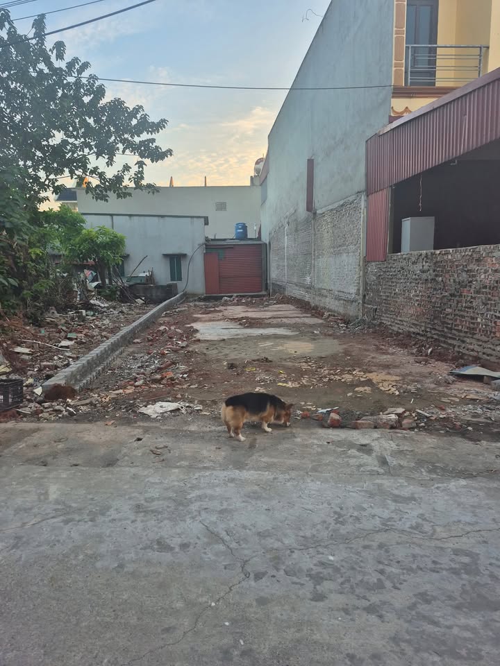 Đất nền Hòa Mạc Duy Tiên 104m² giá thỏa thuận - Vị trí đắc địa gần trường học