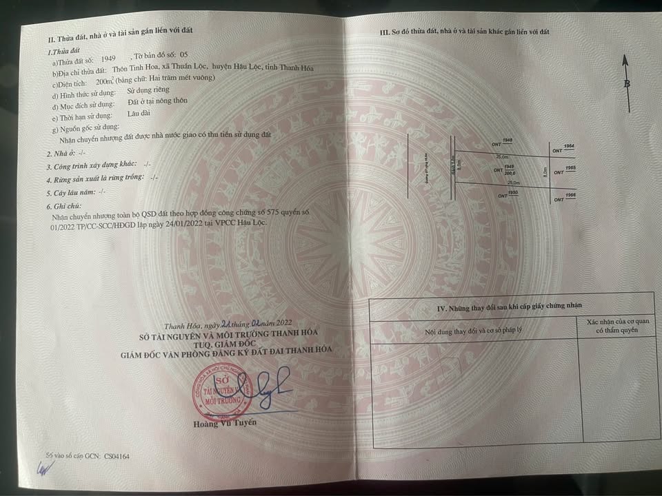 Đất nền Hậu Lộc, Thanh Hóa 200m² giá chỉ 8xx - Cơ hội đầu tư tuyệt vời!