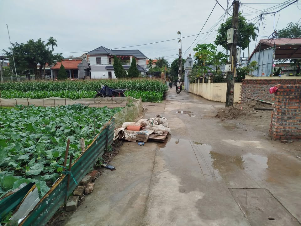 Đất Tự Nhiên Thường Tín 51.7m² giá 2.4 tỷ - Ô tô vào thoải mái!