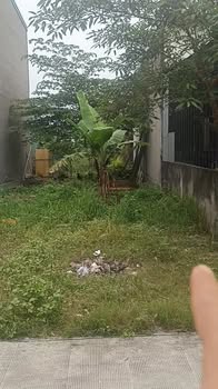 Đất nền Chánh Phú Hòa Bến Cát 448m² giá 1.8 tỷ - Cơ hội đầu tư tuyệt vời!