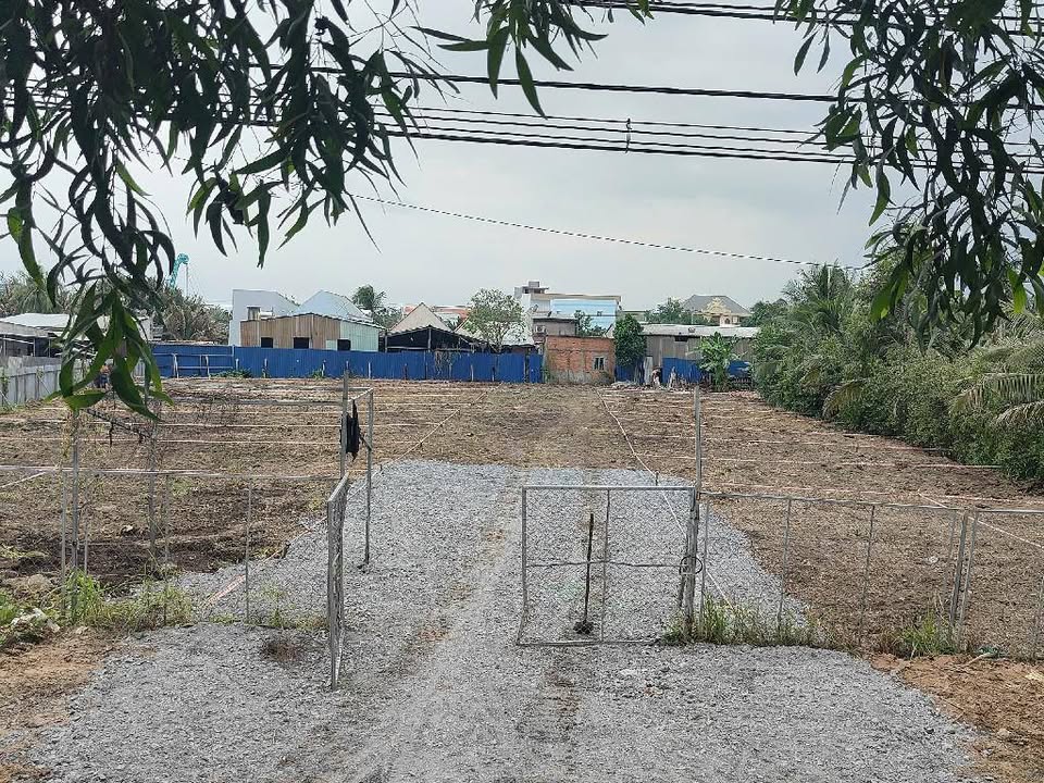 Đất thổ cư mặt tiền Tân Long, Tân Nhựt, Bình Chánh 2.500m² giá 48 tỷ - Cơ hội đầu tư tuyệt vời!