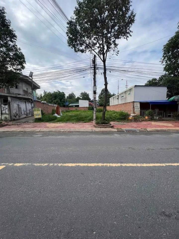 Đất nền góc Mặt tiền đường Lào Cai, phường Chánh Nghĩa 177.8m² - Giá chỉ 5 tỷ!