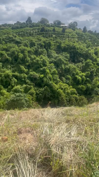 Đất nền 6 sào Nam Xuân, Krông Nô - Sổ đỏ chính chủ, giá thỏa thuận!