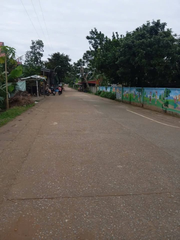 Đất nền chính chủ Thọ Ngọc Triệu Sơn 270m² giá chỉ 500 triệu - Đường thông thoáng dễ dàng di chuyển!