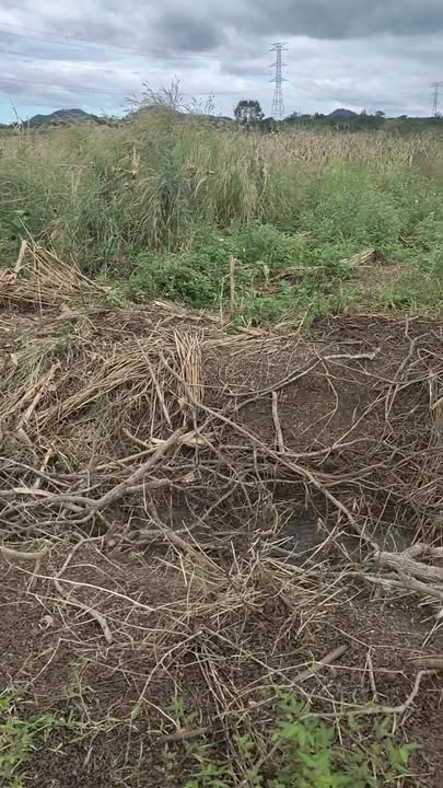 Đất nền 3600m² tại thôn 20, xã Eoh Moh - Giá thỏa thuận hấp dẫn!