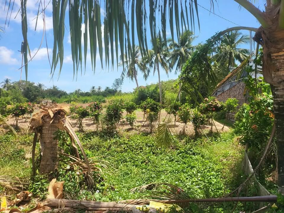 Đất nền ấp Giồng Giữa, phường Hiệp Thành, 672m² giá 716.8 triệu - Cơ hội đầu tư tuyệt vời!