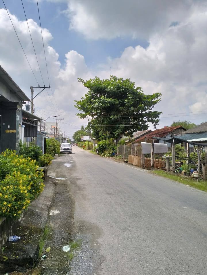 Đất thổ cư mặt tiền tỉnh lộ 834, xã Bình An, 183m² chỉ 1.55 tỷ - Sổ hồng riêng