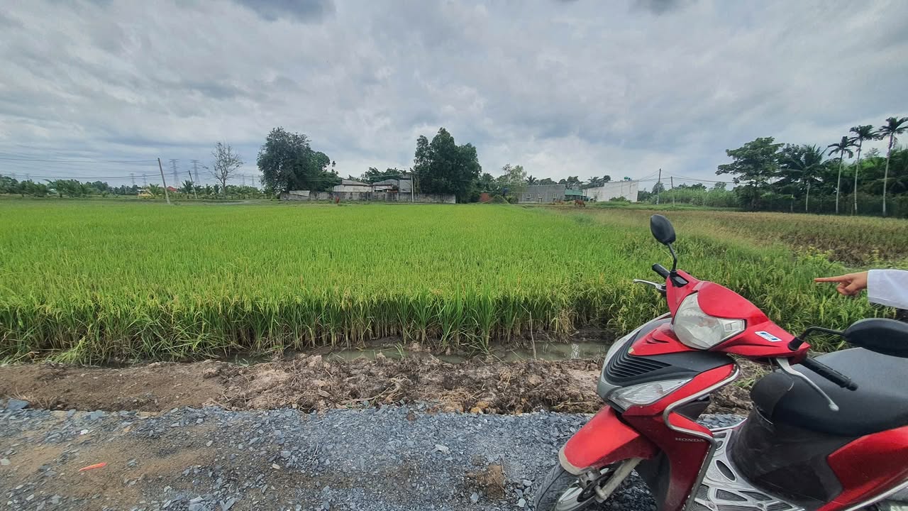 Đất thổ cư Hòa Khánh 125m² giá 510 triệu - Sổ hồng công chứng ngay!