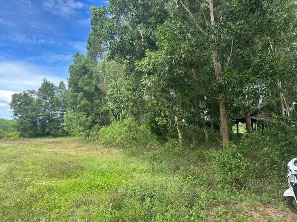 Đất mặt sông Dinh 3074m² giá 1.3 tỷ - Vị trí trung tâm phường Tân An, La Gi