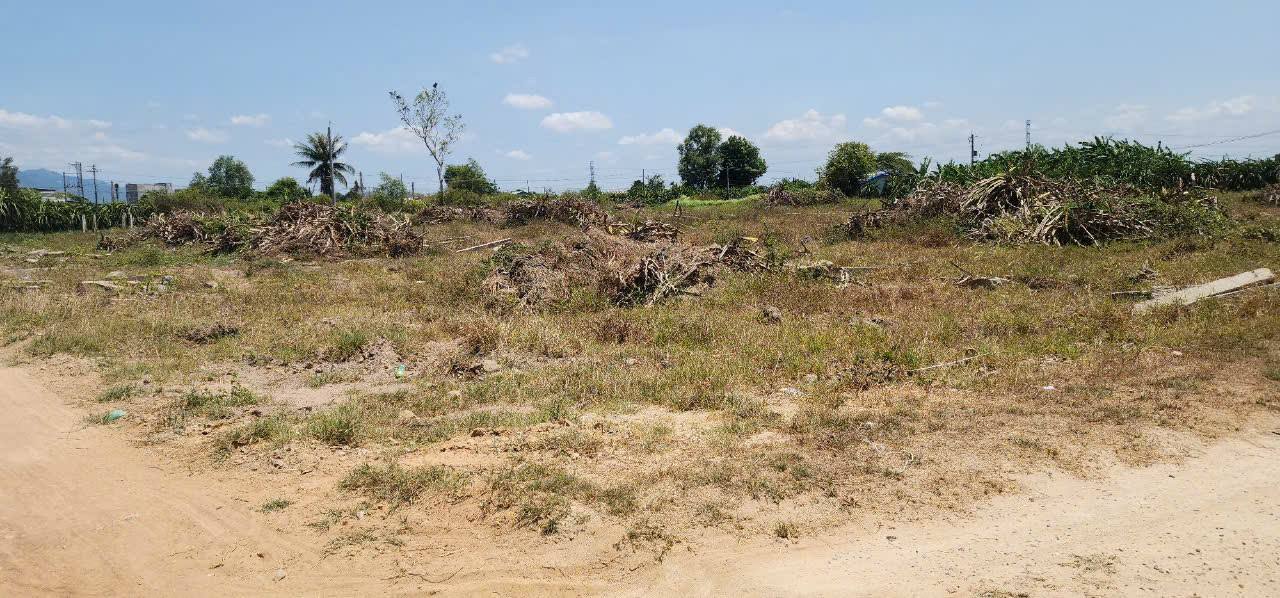 Đất thổ cư Hàm Hiệp 1253m² giá 1.05 tỷ - Đầu tư lý tưởng cho nhà vườn!