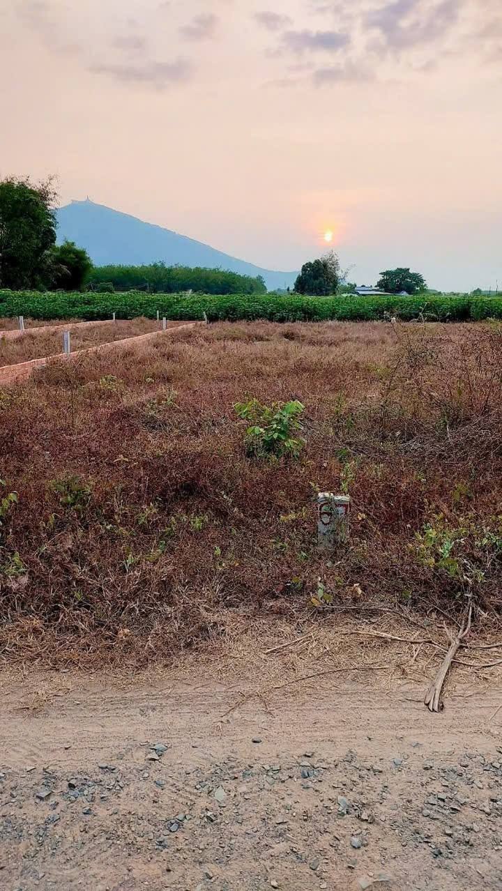 Đất nền Suối Đá, Dương Minh Châu 150m² giá 285 triệu - Đầu tư lý tưởng!