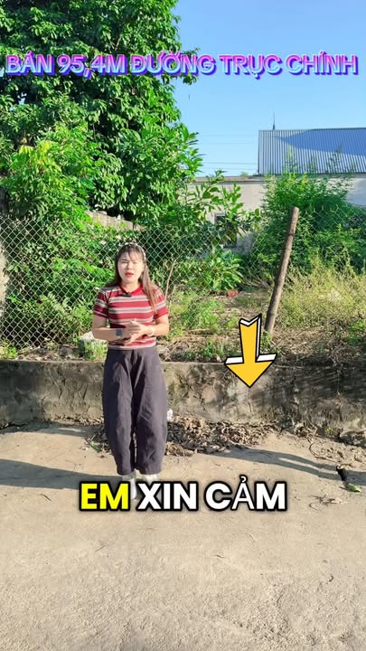 Đất nền thôn Đông Hạ, xã Phú Cát, 96m² giá 3 tỷ - Tiềm năng đầu tư lớn!