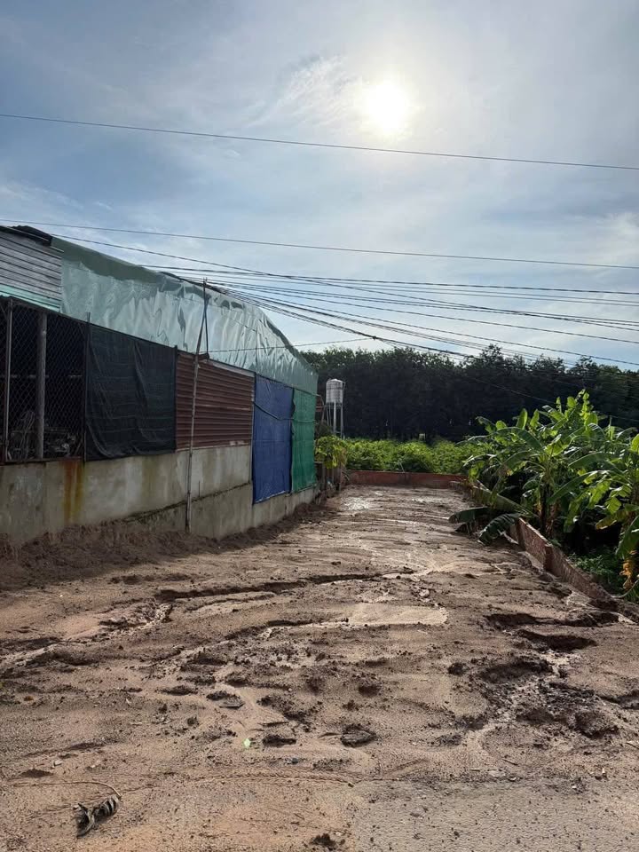 Đất CLN Trà Vong Tân Biên 154m² giá 490 triệu - Sổ đỏ chính chủ, mặt tiền đường nhựa!