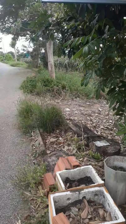 Nhà bán Ấp Cầu Đúc, An Lục Long 340m² giá 1.7 tỷ - Vào ở ngay!