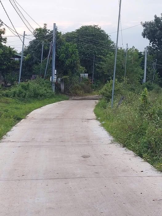 Đất thổ cư Xuân Thành, Xuân Trường 141m² giá 550 triệu - Cơ hội đầu tư hấp dẫn!