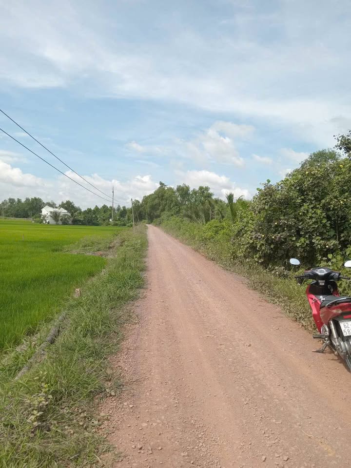 Đất nông nghiệp 8676m² mặt tiền đường đê bao Vàm Cỏ - Chính chủ bán 11.5 tỷ