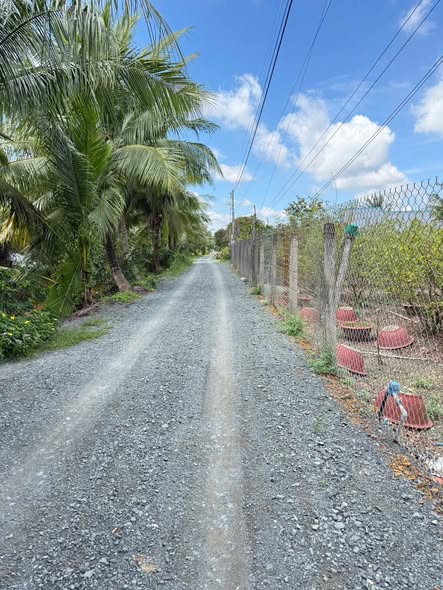 Đất thổ cư 500m² tại Thuận Thành, Cần Giuộc chỉ 1.45 tỷ - Cơ hội đầu tư hấp dẫn!