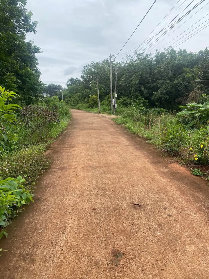 Đất thổ cư Lộc Tấn 420m² giá 420 triệu - Gần trung tâm, mặt tiền rộng rãi!