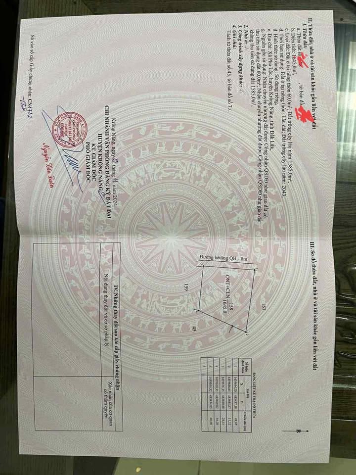 Đất mặt tiền chính chủ Phú Lộc 1600m² - Sổ đỏ sẵn, cơ hội đầu tư tốt!