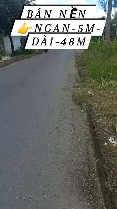 Đất nền Hộ Phòng, Giá Rai 240m² chỉ 850 triệu - Cơ hội đầu tư tuyệt vời!