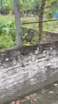 Đất nền An Thanh, Ninh Giang 150m² giá 1 tỷ - Tiềm năng tăng giá cao!