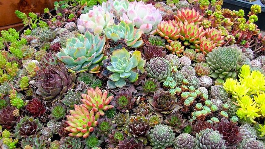 Đất nền 230m² tại Hoằng Đông - Mặt tiền 16m, giá tốt không thể bỏ lỡ!