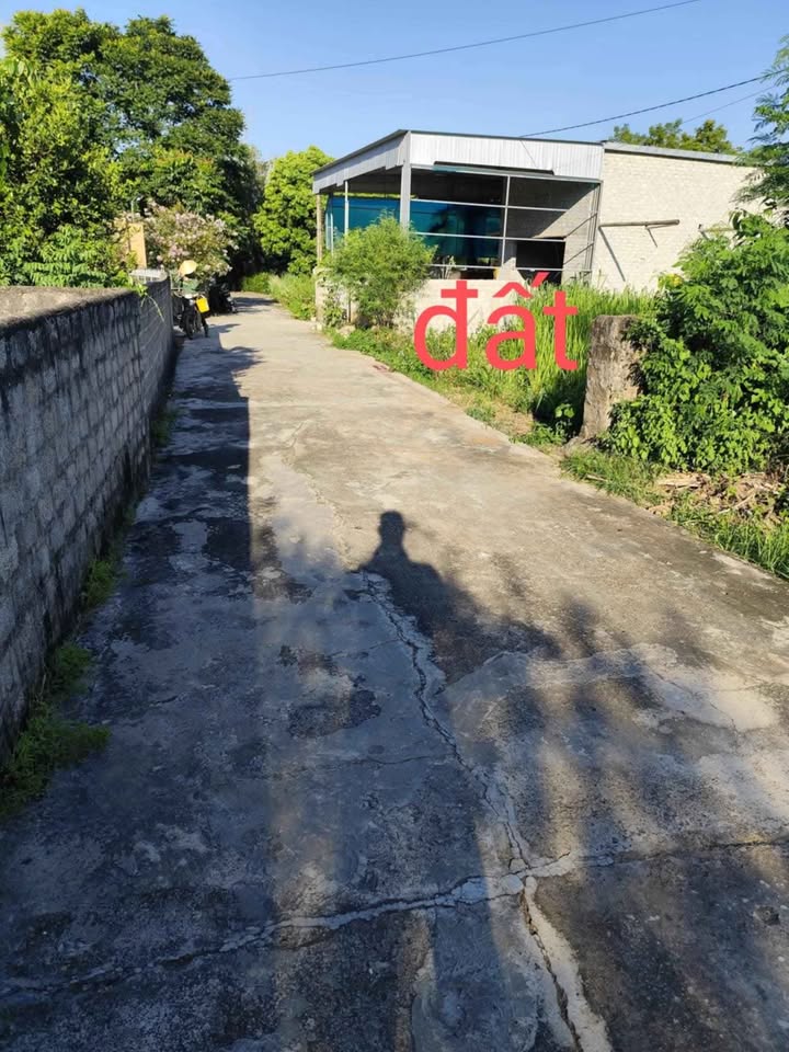 Đất nền Nghĩa Hồng 200m² giá chỉ 300 triệu - Đầu tư sinh lời ngay!