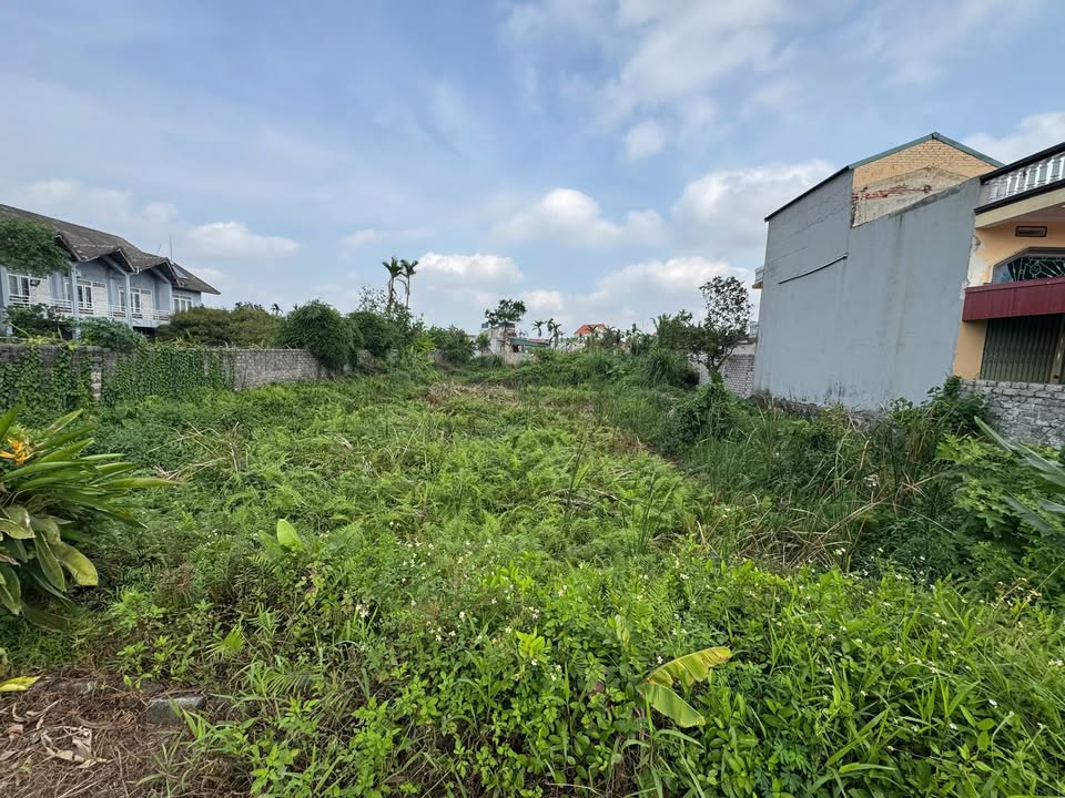 Đất nền Phương Đông Uông Bí 300m² giá chỉ 2 tỷ - Mặt tiền 10m, vị trí đẹp!