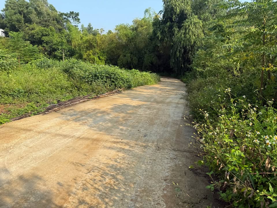 Đất thổ cư Thanh Đình Việt Trì 3300m² giá 13.2 tỷ - Cơ hội đầu tư lý tưởng!