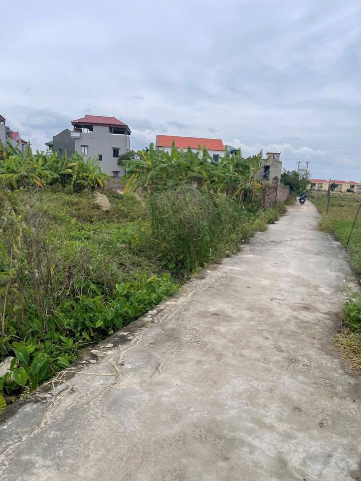 Đất nền An Bình, Thuận Thành 110m² giá 2 tỷ - Đường ô tô thông thoáng!