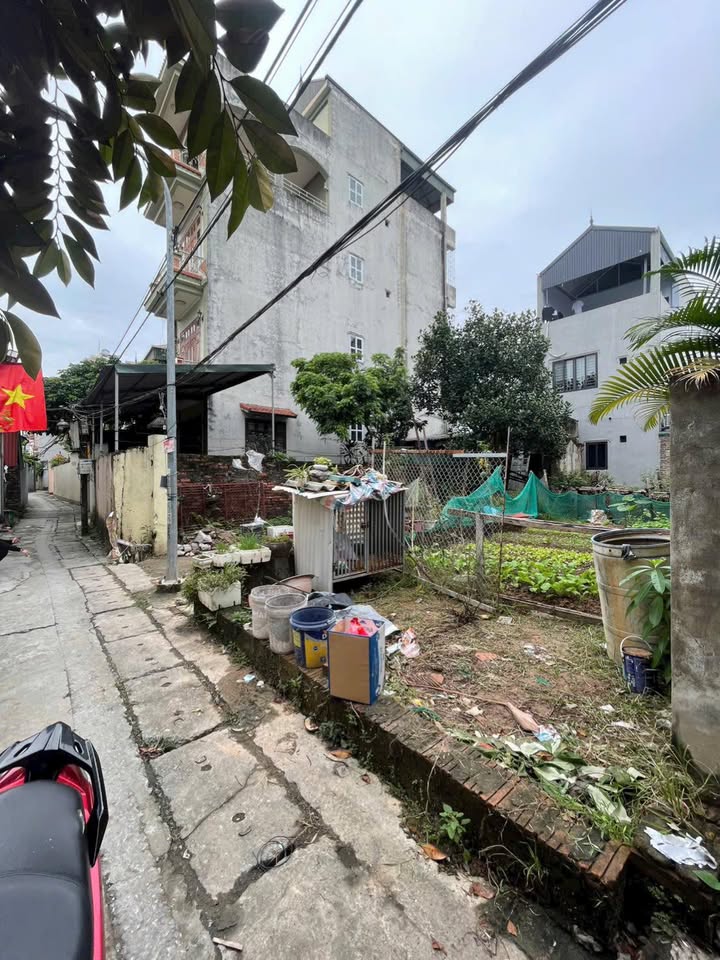 Đất nền An Thượng Hoài Đức 78m² - Cơ hội đầu tư sinh lời hấp dẫn!