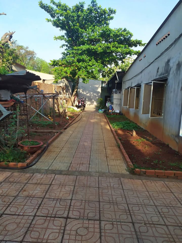 Nhà nguyên căn cho thuê tại Đồng Xoài 120m² - Tiện nghi đầy đủ, vào ở ngay!