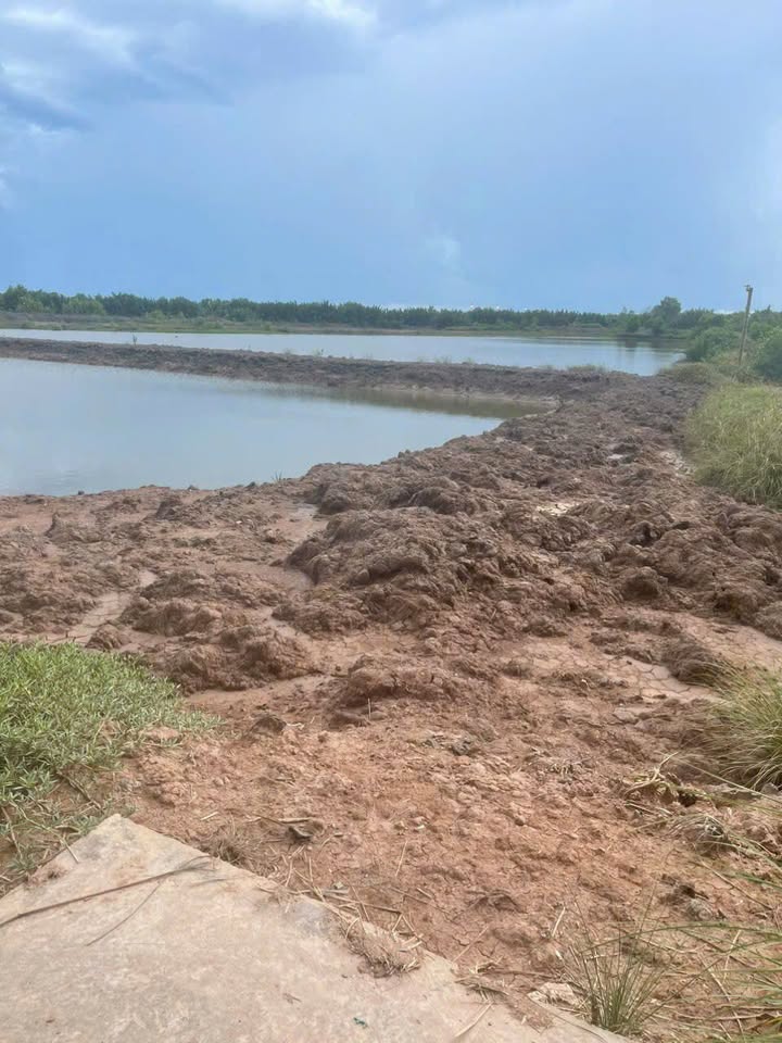 Đất Farm cho thuê tại Duyên Hải Trà Vinh - Diện tích lớn, giá hấp dẫn!