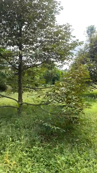 Đất nền Hưng Lộc Thống Nhất 2200m² giá 2 tỷ - Cơ hội đầu tư lý tưởng!