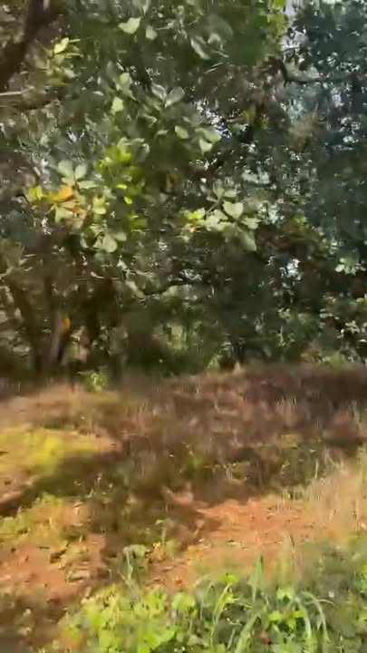 Đất nền 1.8ha tại Phước Tân - Phú Riềng giá 2 tỷ - Cơ hội đầu tư tuyệt vời!