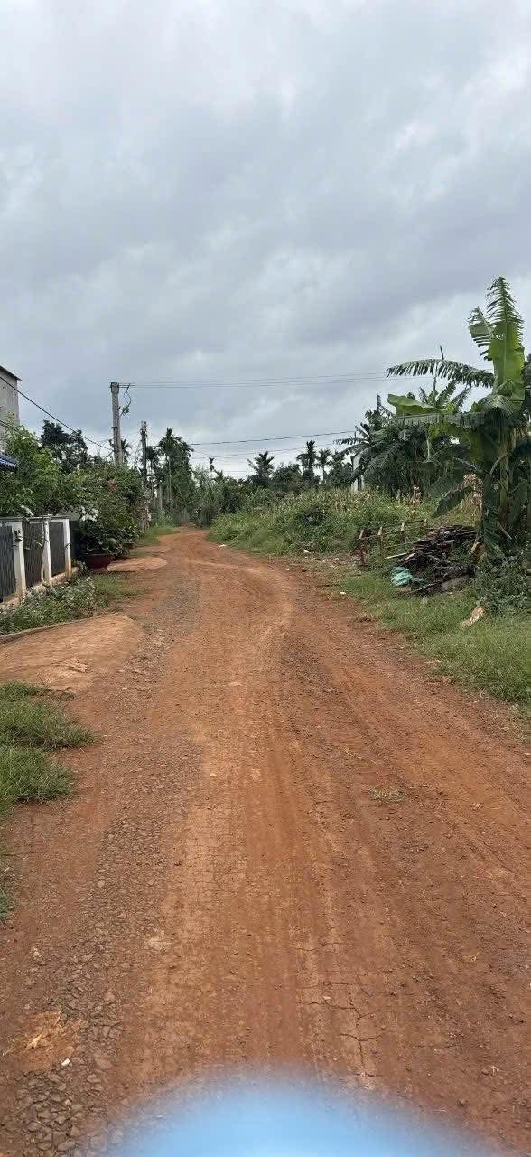 Đất nền Phú Xuân 250m² giá 500 triệu - Sổ hồng chính chủ, đường thông tứ hướng!