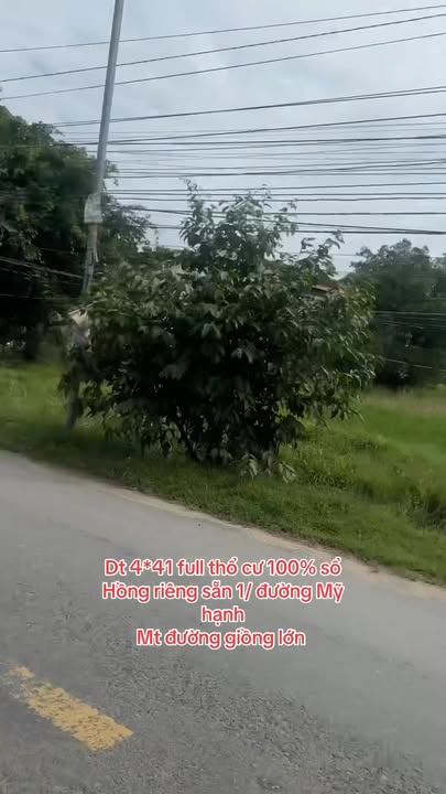 Đất thổ cư 164m² tại Mỹ Hạnh Nam - Sổ hồng riêng, giá thỏa thuận