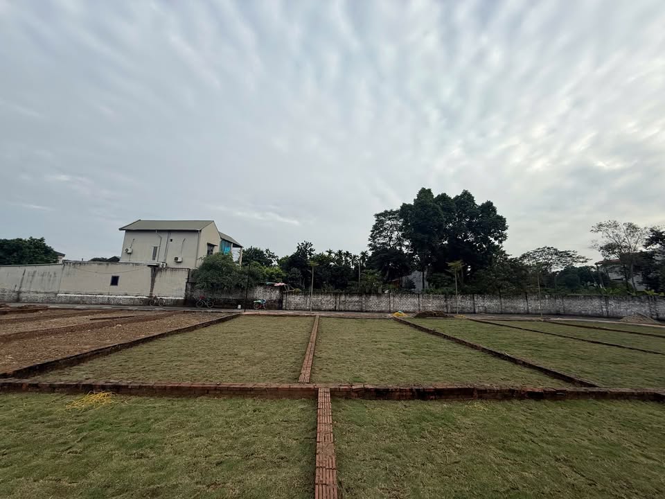 Đất nền thổ cư 100m² tại Phú Cát - Chỉ từ 4x triệu/m², cơ hội đầu tư hấp dẫn!