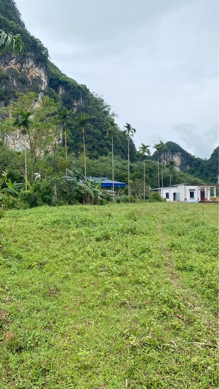 Đất nền Kim Bôi 1760m² giá 1.936 tỷ - Đầu tư sinh lời nhanh!