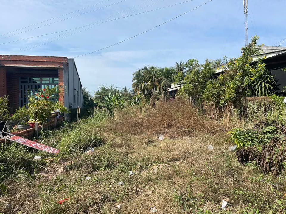 Đất mặt tiền DT784, xã Truông Mít, 340m² - Kinh doanh thuận lợi, giá thỏa thuận!