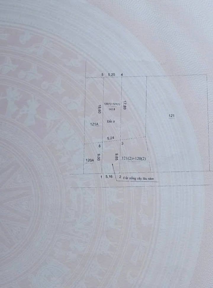 Nhà cấp 4 Chợ xóm 2 Chương Dương 142.6m² giá 6.037 tỷ - Sổ đỏ chính chủ!