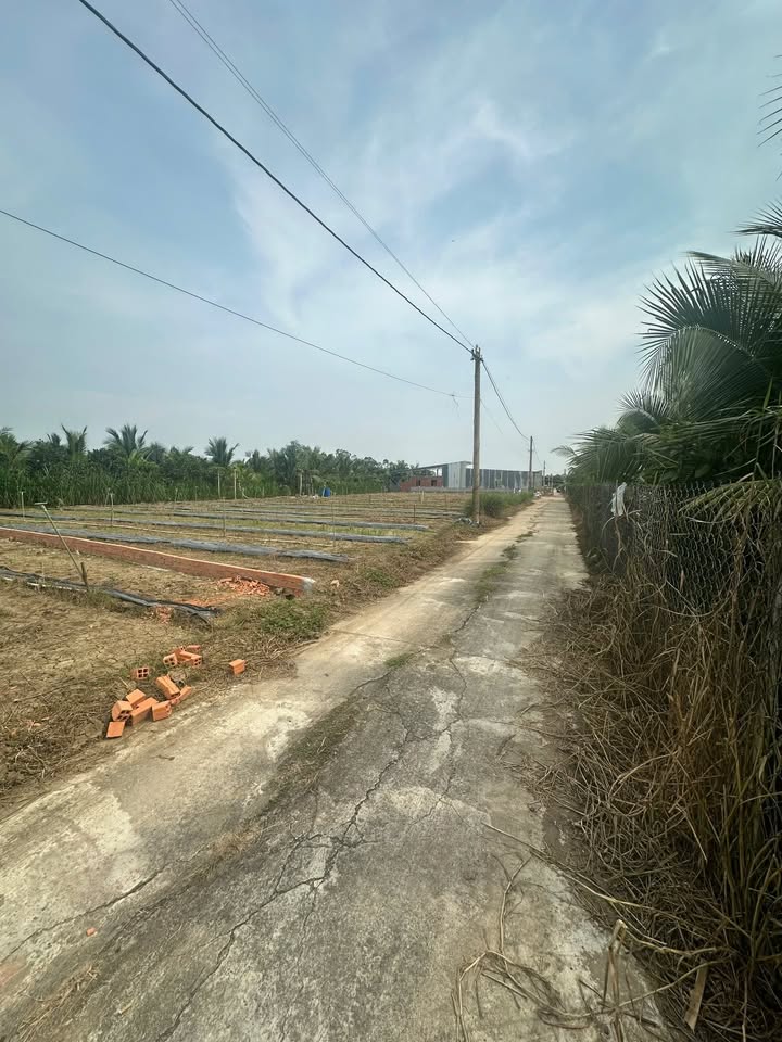 Đất thổ cư 151m² xã Tân Hoà, Gò Công Đông - Giá chỉ 350 triệu!