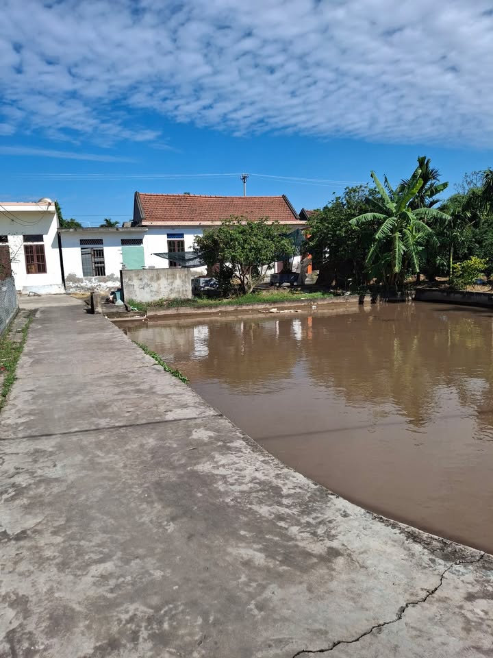 Đất ven biển Hải Đông 545m² giá 1 tỷ - Tiềm năng tăng giá cao!