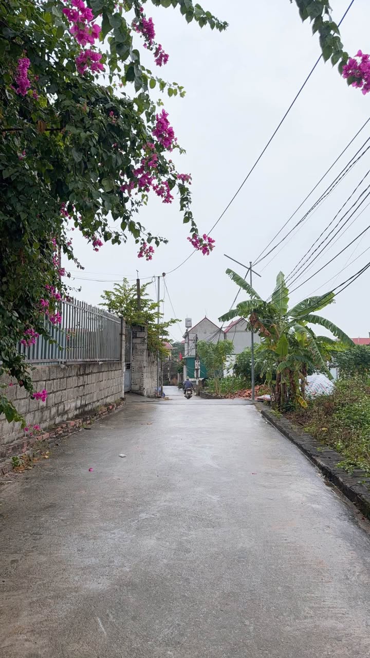 Đất nền Ngọc Xá, Quế Võ, Bắc Ninh 77m² giá 1 tỷ - Cơ hội đầu tư hấp dẫn!