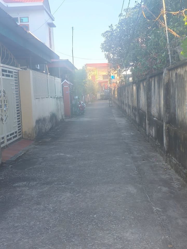 Đất thổ cư 250m² tại Quỳnh Côi, Quỳnh Phụ chỉ 1 tỷ - Đầu tư sinh lời ngay!